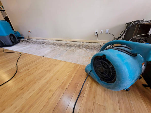 Professional Basement Flood Cleanup technician working in Bostwick, GA